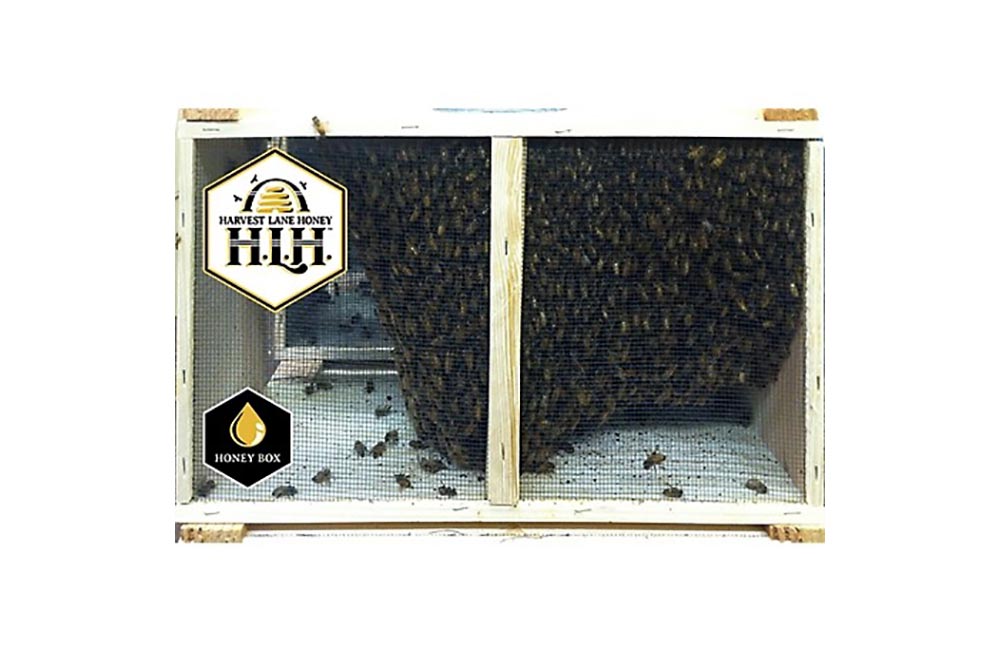 Strange Things You Didn't Know Tractor Supply Co. Sells Option Live Bees
