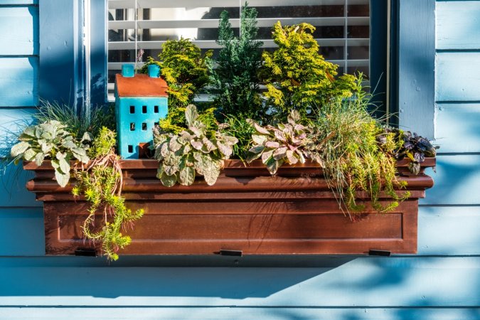 A window planter with lush foliage.