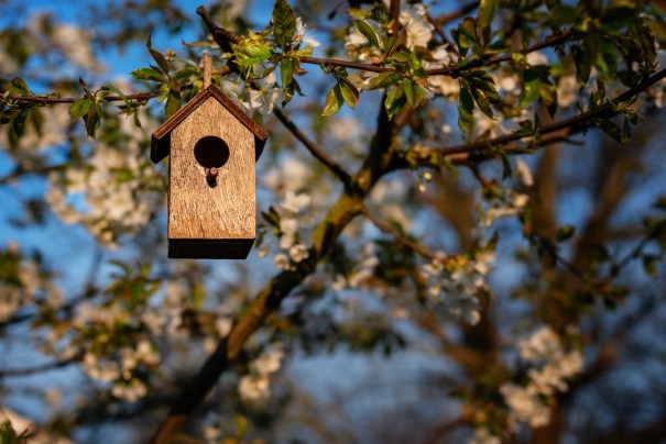 How to Build a Birdhouse | DIY Birdhouse | Easy Steps - Bob Vila