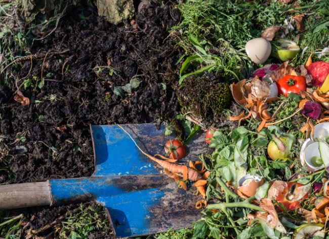 composting 101