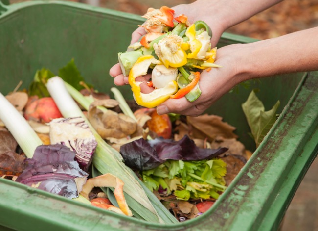 composting 101