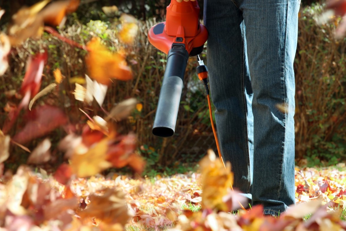 How to Use a Leaf Blower