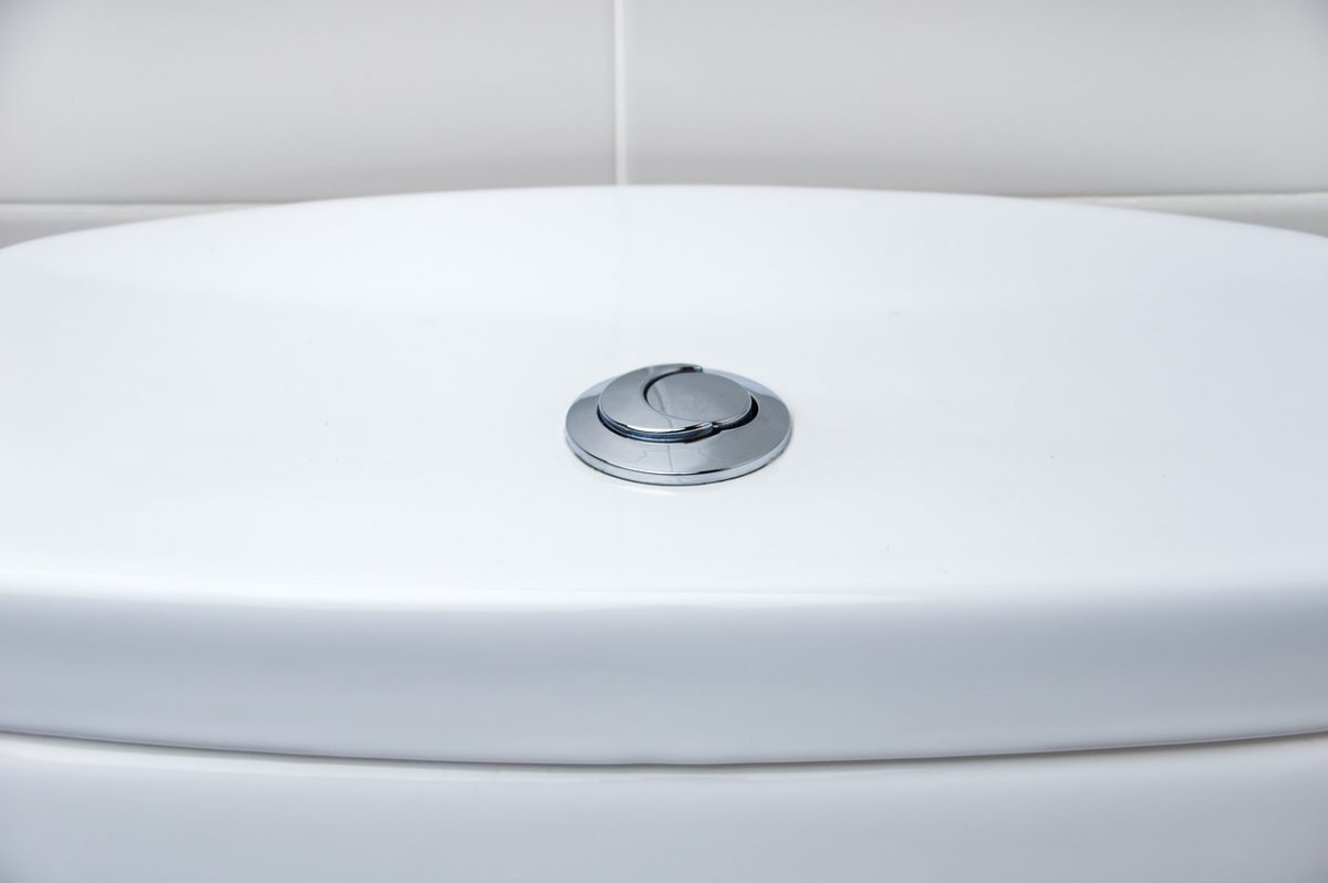 The top of a dual flush toilet has full flush and low-output flush options.