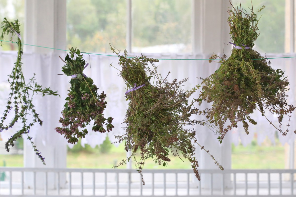 How to Dry Herbs