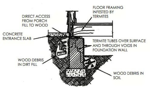 diagram of common termite entry points.