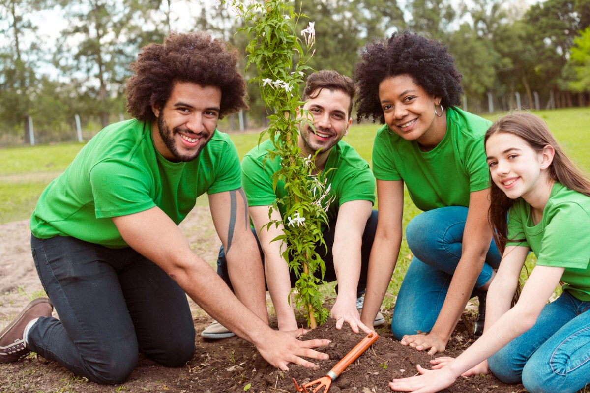 How to Plant a Tree | Watering, Mulching, Staking and More - Bob Vila