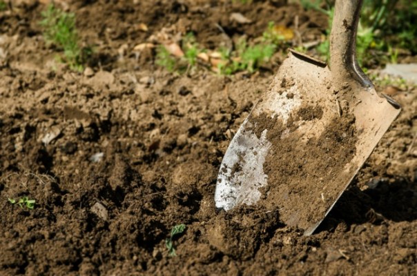 Double Digging Your Garden - Bob Vila