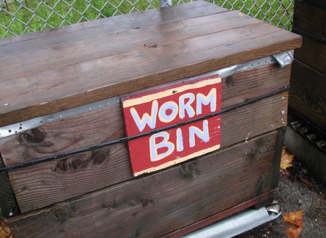 Vermiculture - DIY Worm Bin