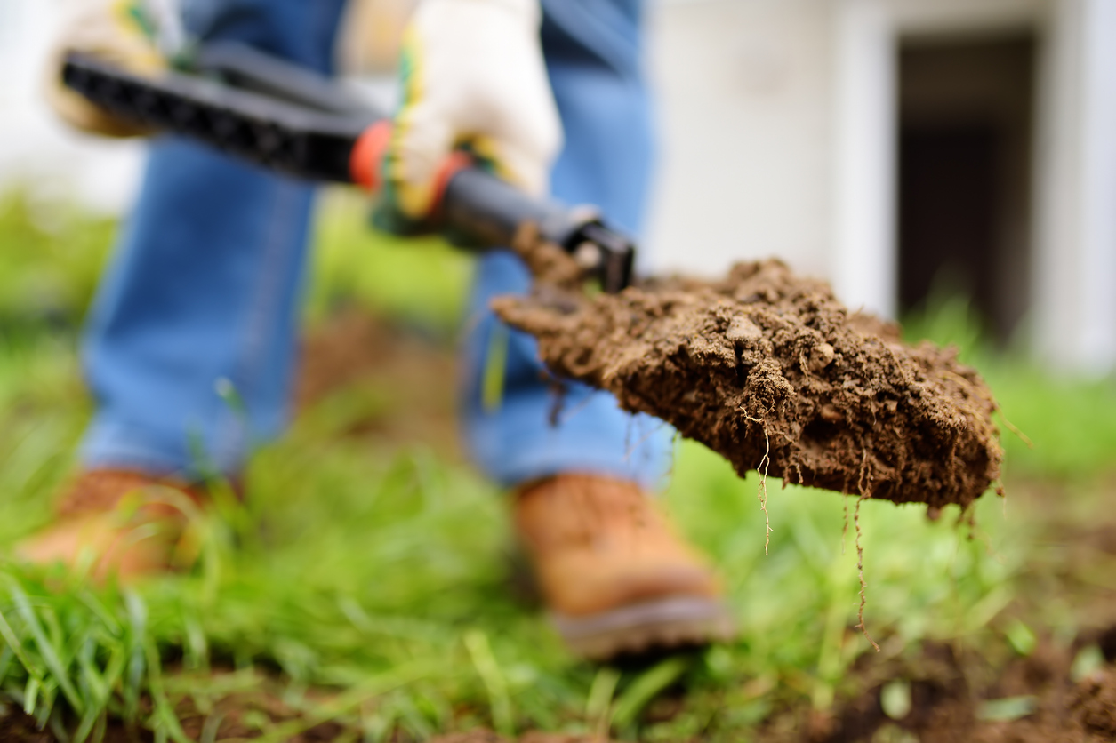 Man diging holes a shovel for planting juniper plants in the yard. Seasonal works in the garden. Landscape design.