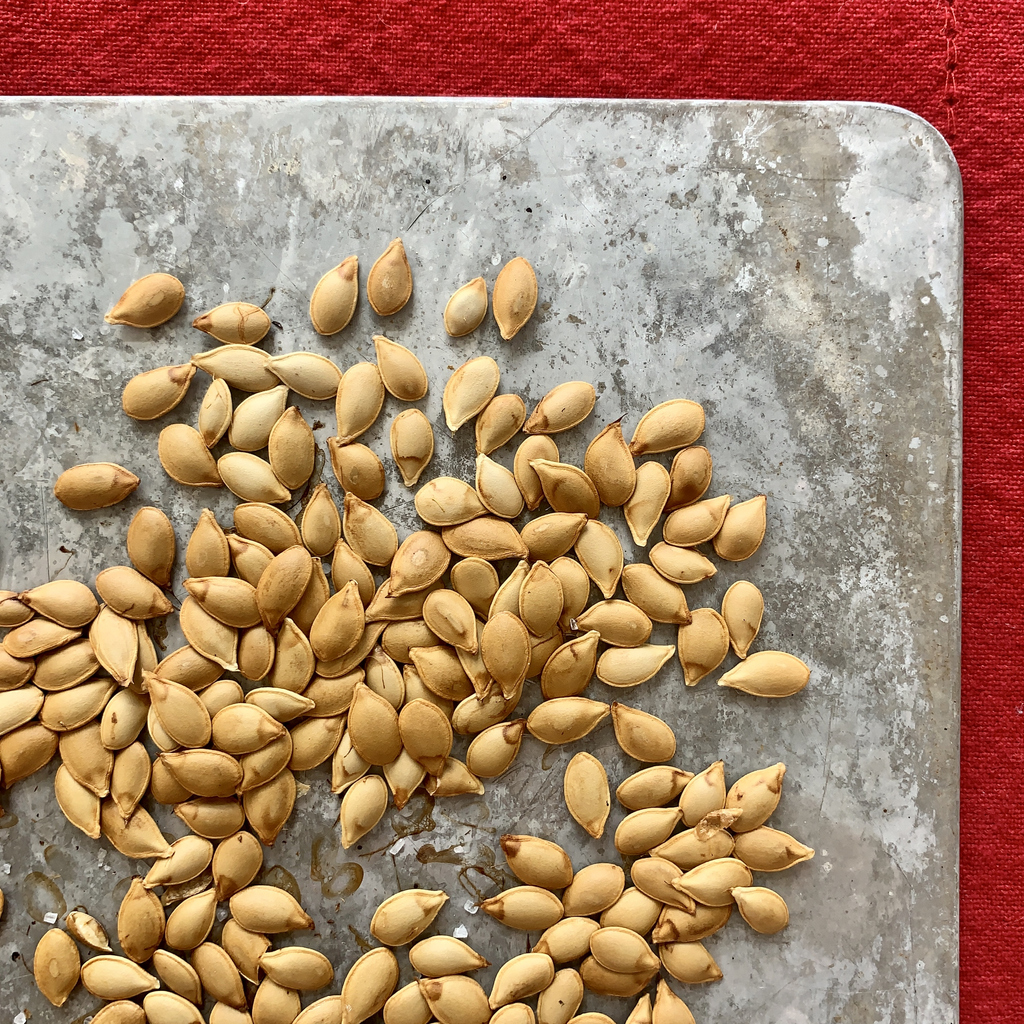 Dehydrated Acorn Squash Seeds