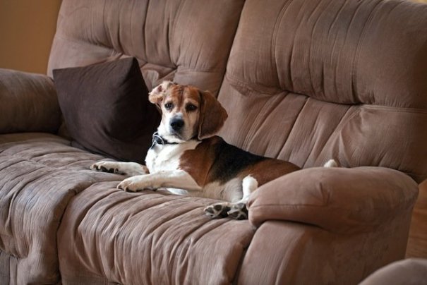 How to Clean a Microfiber Couch - Bob Vila