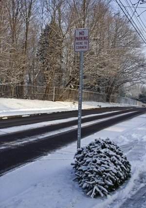 Taking Down the Christmas Tree - Curbside