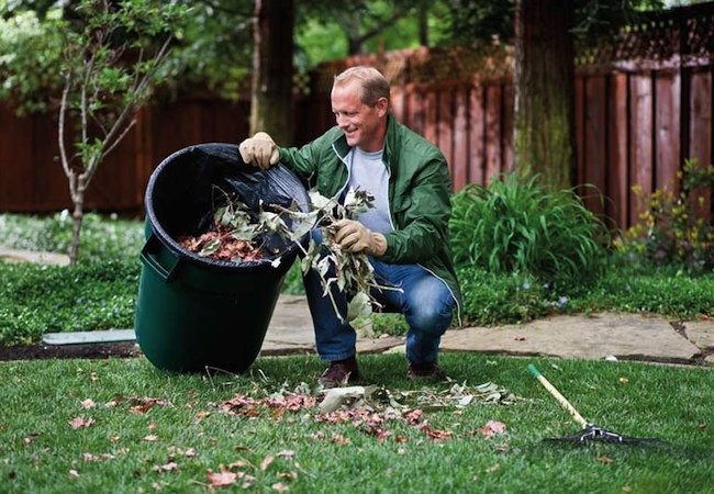 Spring Lawn Care - Cleanup