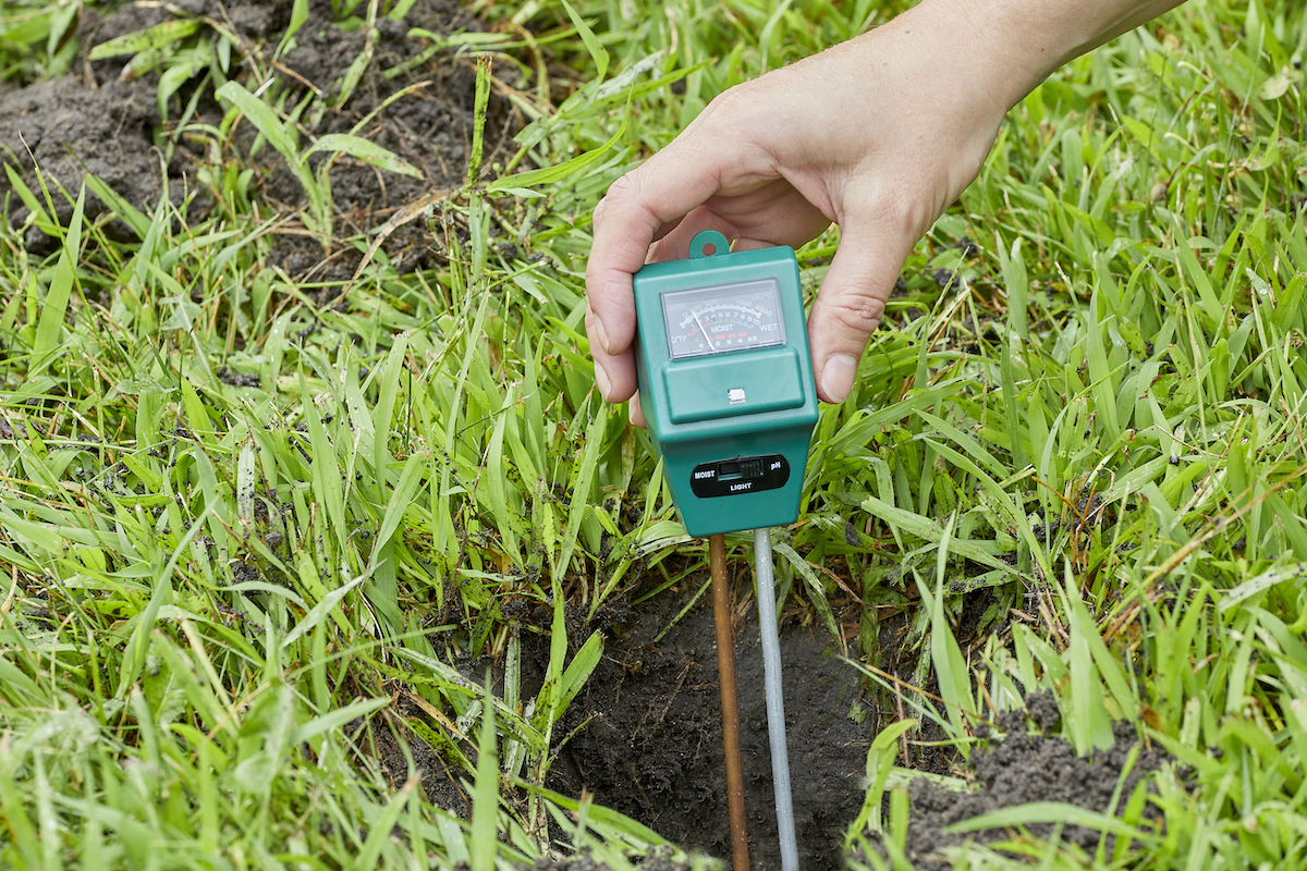 Person inserts a soil test probe into a hole in a grassy yard.