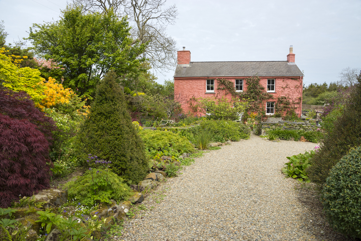 Gravel driveway leading up to beautiful pink cottage at Dyffryn Fernant near Fishguard, West Wales.