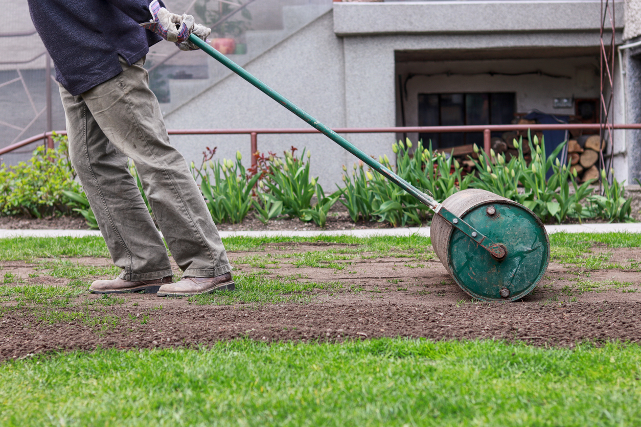 Man in working outfit pulls lawn roller behind. Necessity after long winter and spring for flat surface. Landscaping on the garden. Summer worker