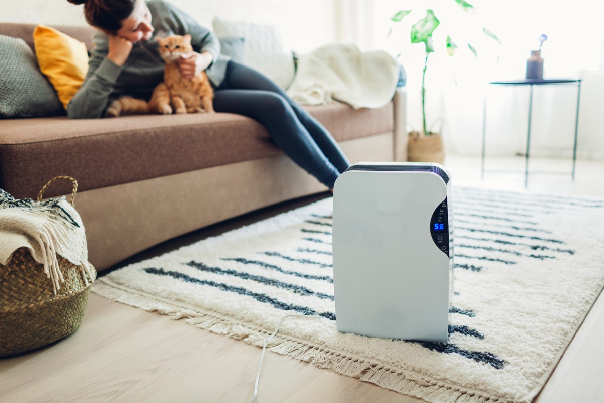 How to Choose a Dehumidifier That’s Right for Your Home