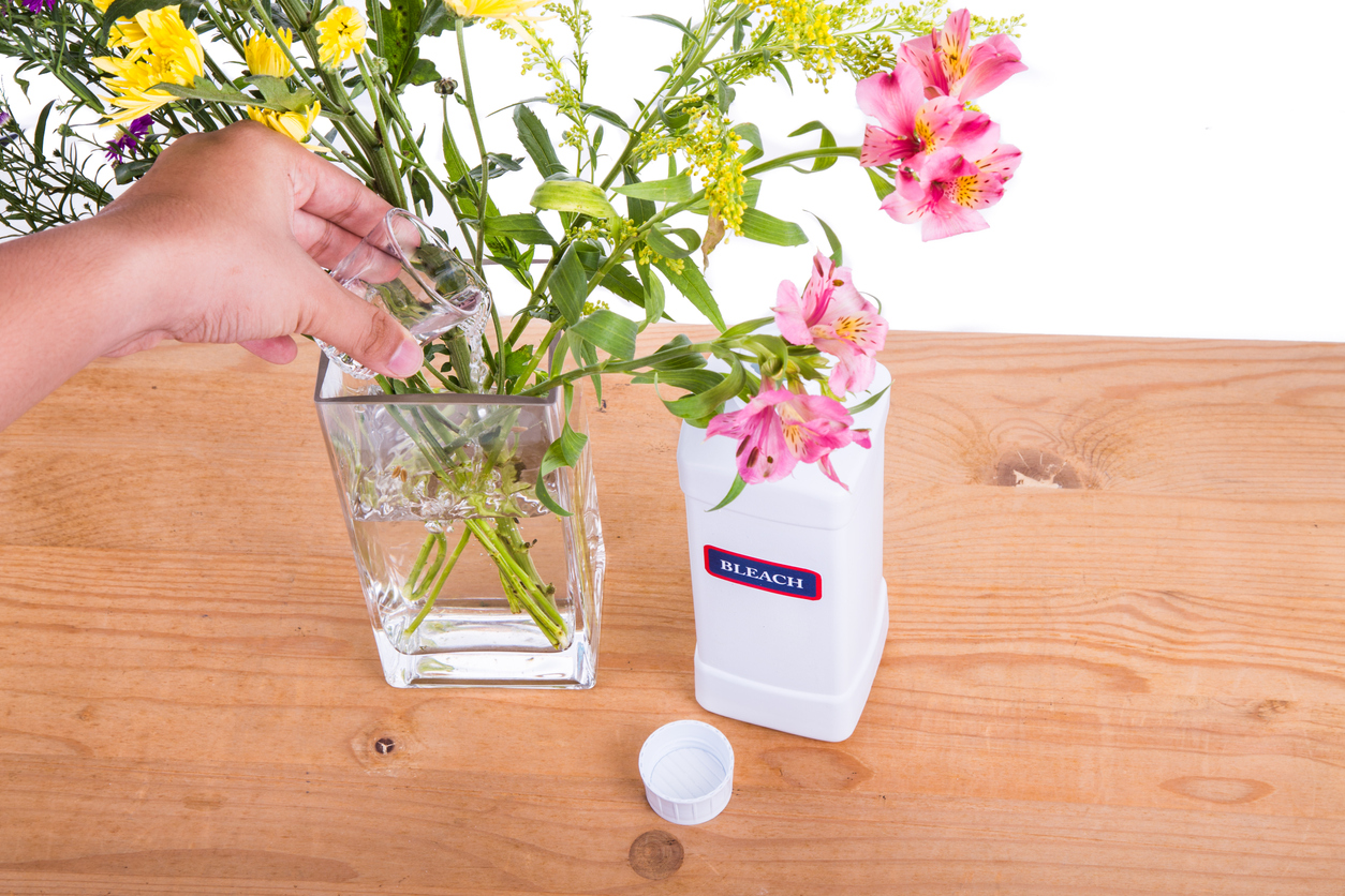 iStock-519132744 Keep Cut Flowers Fresh Longer bleach by flower vase.jpg