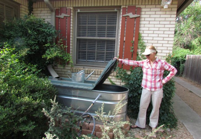 DIY Rain Barrel - Galvanized Metal Stock Tank