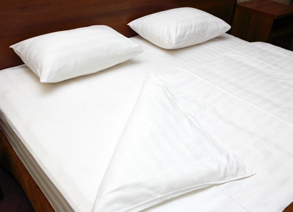 prevent bed bugs travel