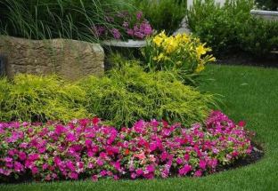 Don't Make These 8 Mistakes in Your Front Yard - Bob Vila