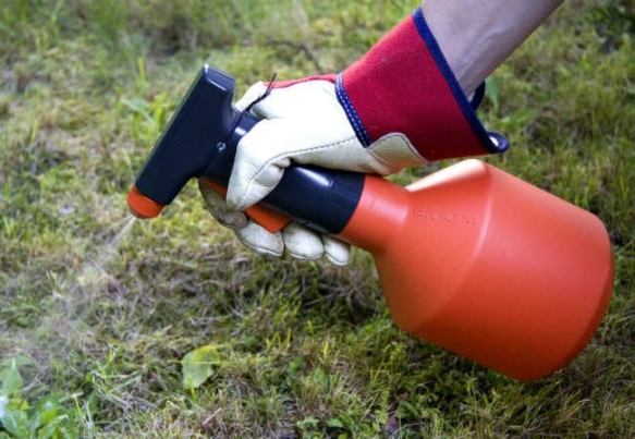 7 Weirdly Effective Ways to Weed - Bob Vila