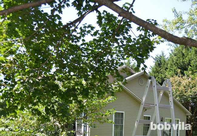 DIY Tire Swing - Step 1