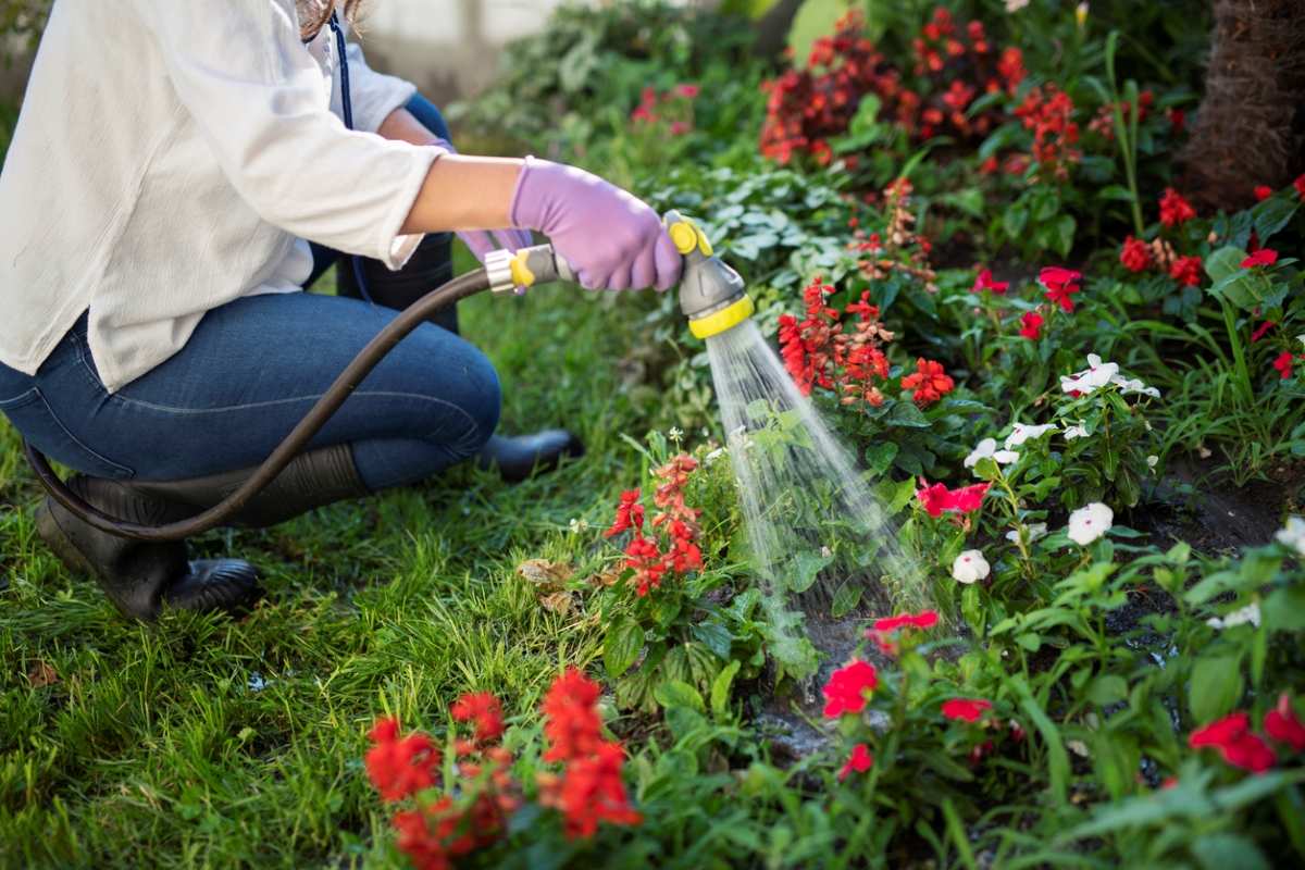 Woman watering flowers.