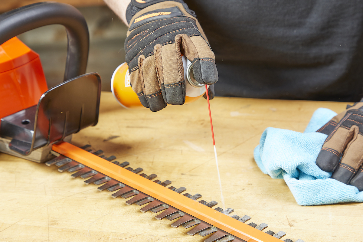 Cleaning the trimmer blades on hedge trimmer with solvent.