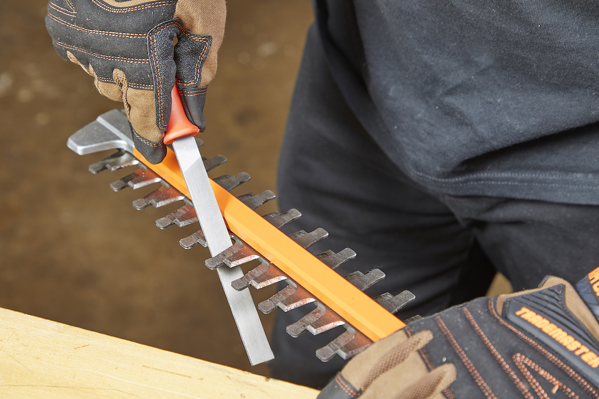 Sharpening hedge trimmer blades with flat file while wearing gloves.