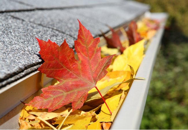 Genius! Clean Your Gutters Without A Ladder - Bob Vila