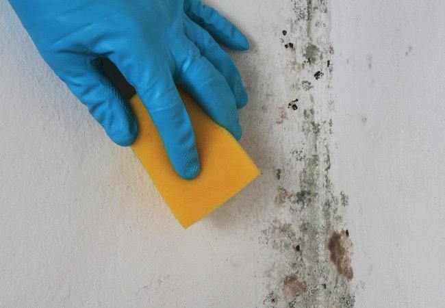 12 Big Mistakes That Lead to Mold and Mildew Growth - Bob Vila