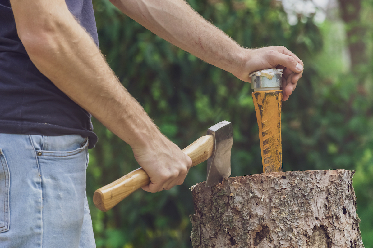 Man standing at a tree trunk holding an axe and a wedge.