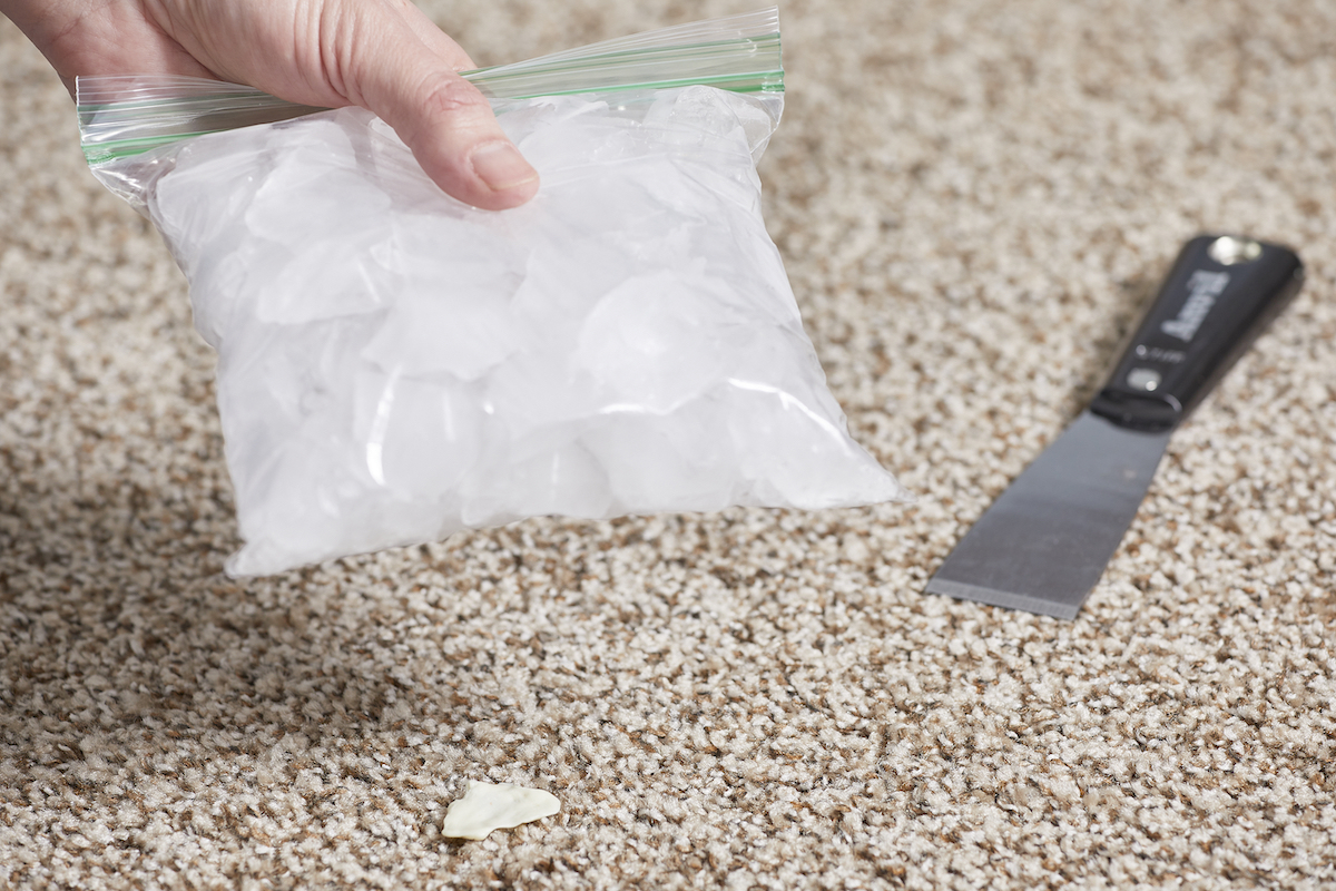 Person holds Ziploc bag of ice over a piece of gum on a beige carpet, putty knife nearby.