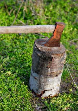 How to Sharpen an Axe - Detail