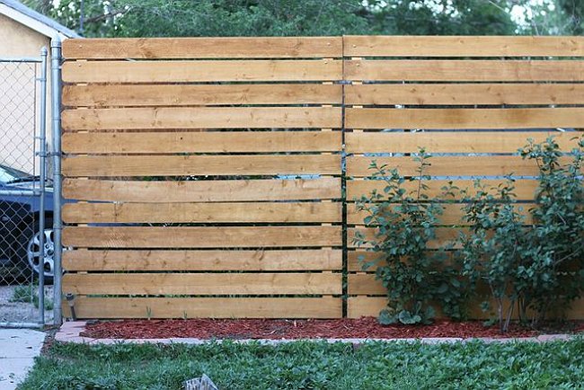 11 Living Fences That Look Better Than Chain Link