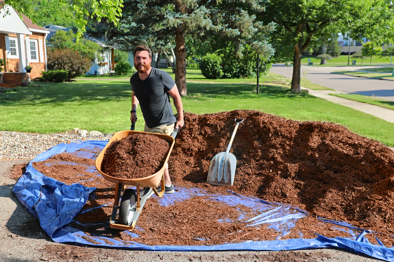 How to Kill Grass—and Why You Might Want To - Bob Vila