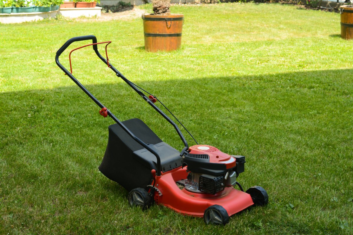 Modern garden lawn mower on green grass in park