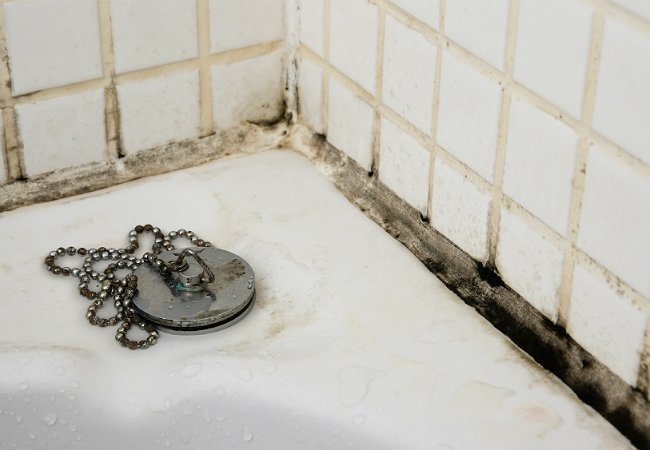 Black mold around white tub and tile