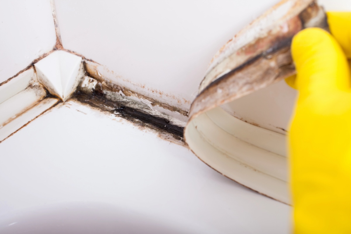 Person wearing yellow gloves pulls back sealant to find black mold in shower tiles.