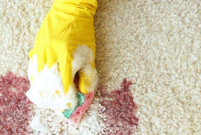 how to remove blood from carpet