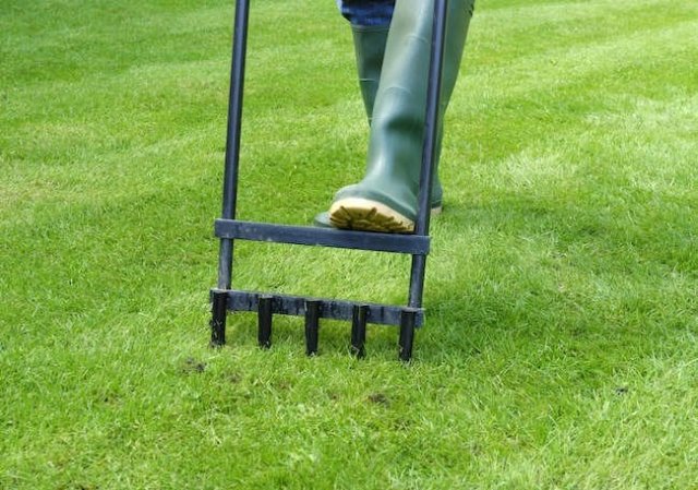 7 Things Your Lawn May Be Trying to Tell You