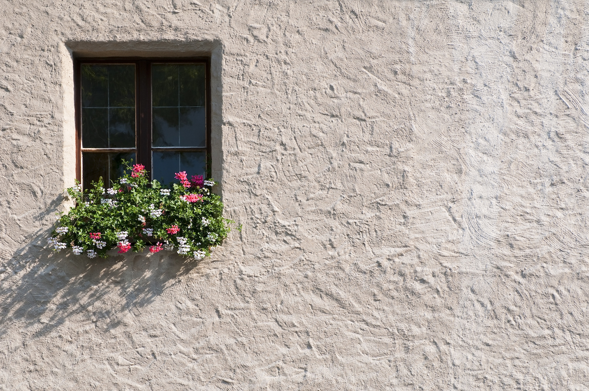 Potted plants outside a window in summer time; grey stucco exterior.