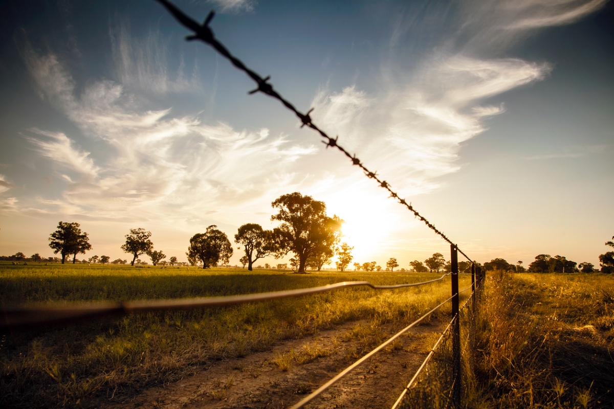 fencing materials - barbed wire fence