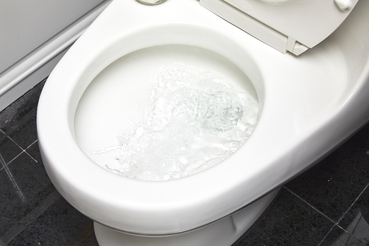 Flushing a freshly cleaned toilet.