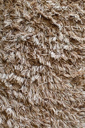 How to Clean a Shag Rug