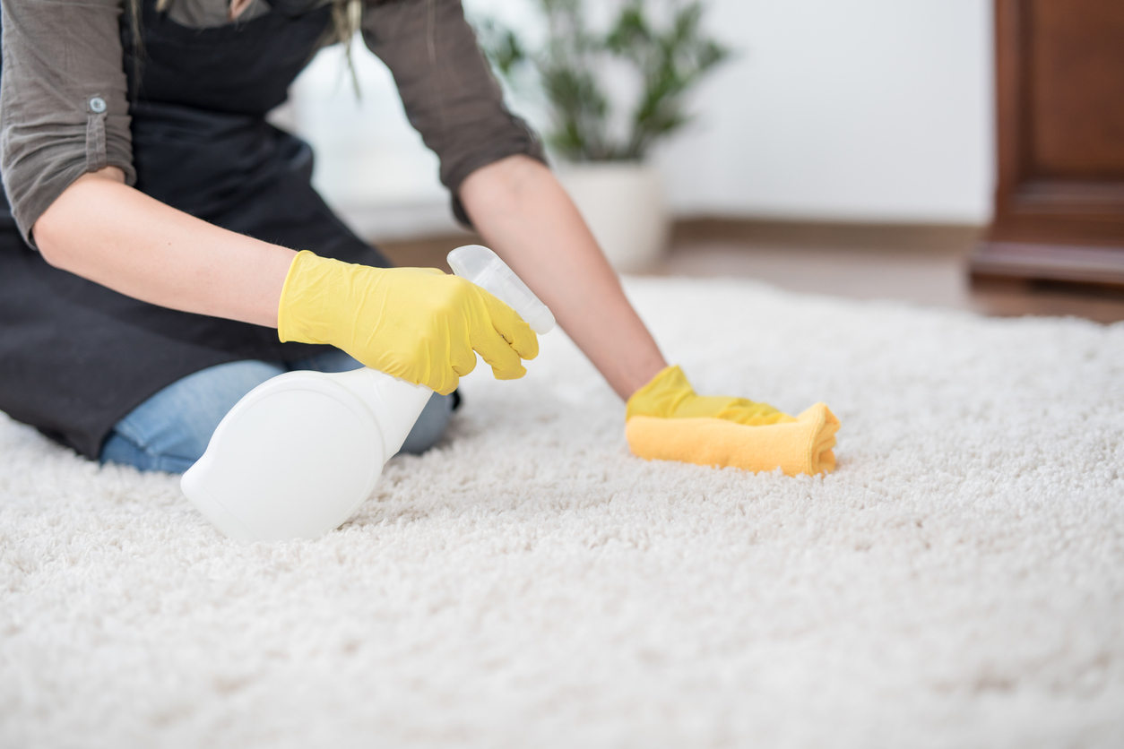 how to shampoo carpets