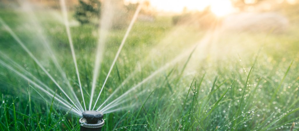 how to winterize a sprinkler sprinkler in grass sunset