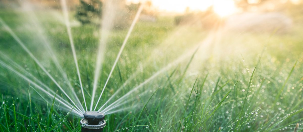 how to winterize a sprinkler sprinkler in grass sunset