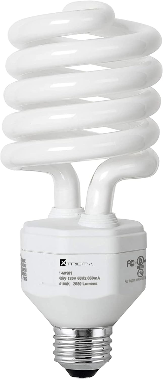 Compact Fluorescent Light Bulb